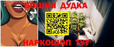 молекула духа Краснознаменск