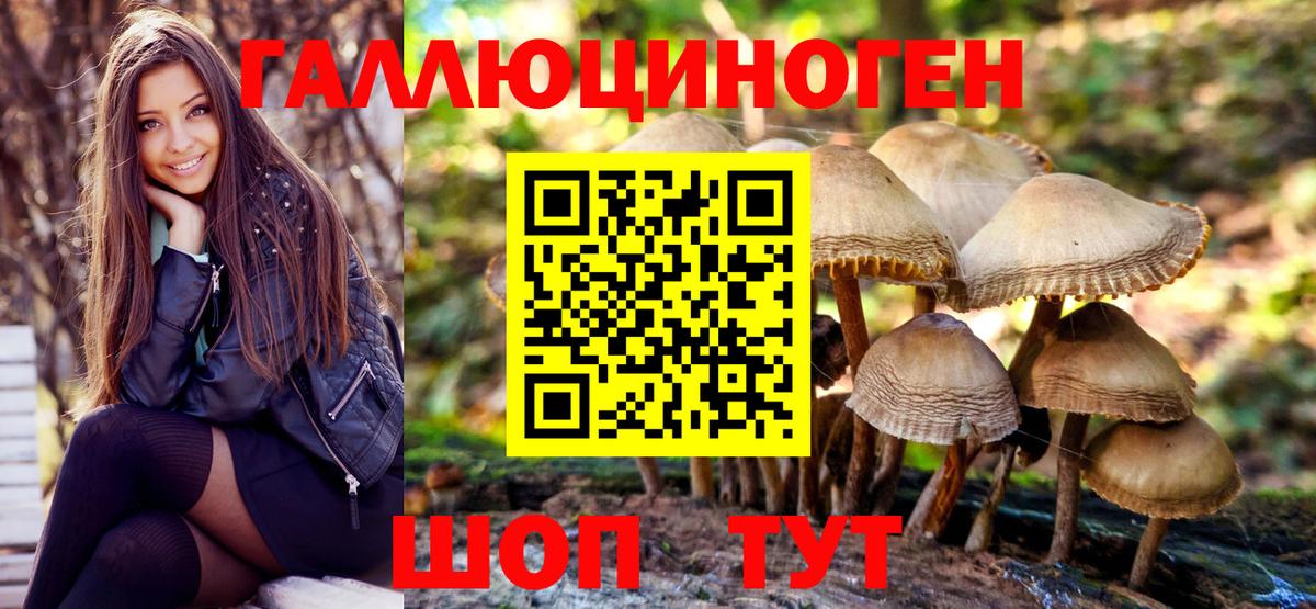 Псилоцибиновые грибы мухоморы Вязьма